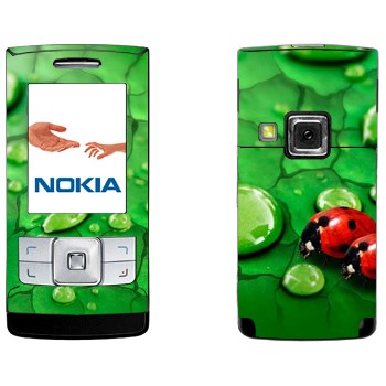   «   »   Nokia 6270