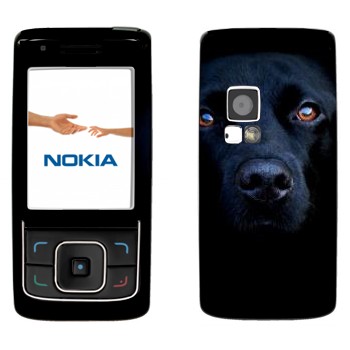   « »   Nokia 6288