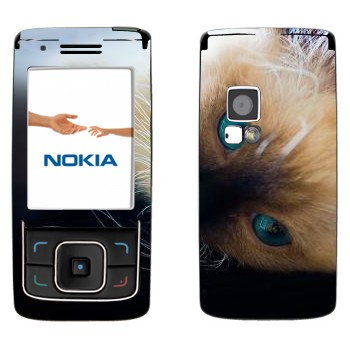   « »   Nokia 6288