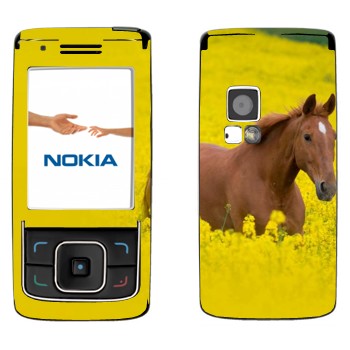   «  »   Nokia 6288