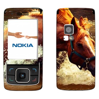   «  »   Nokia 6288