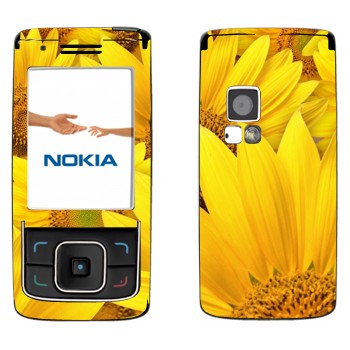   « »   Nokia 6288