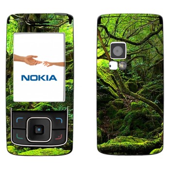   «  »   Nokia 6288