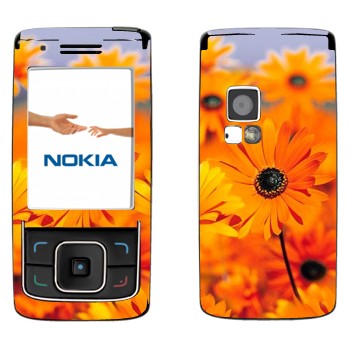   «  »   Nokia 6288