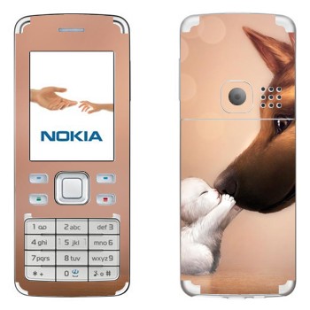   «   »   Nokia 6300