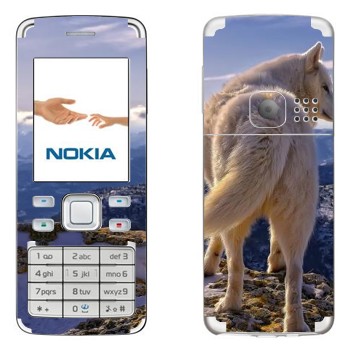   « »   Nokia 6300