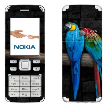   «  »   Nokia 6300