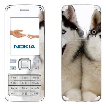   « »   Nokia 6300