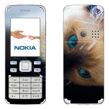   « »   Nokia 6300