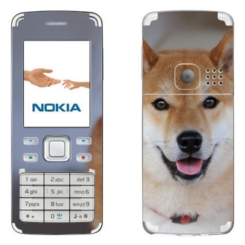   «- »   Nokia 6300