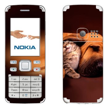   «  »   Nokia 6300