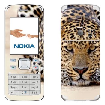   « »   Nokia 6300