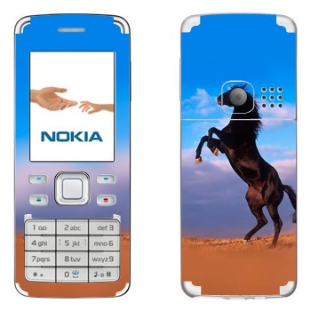   «  »   Nokia 6300