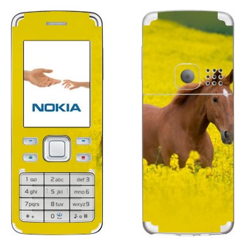   «  »   Nokia 6300