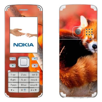   « »   Nokia 6300