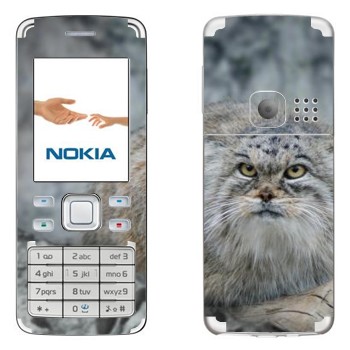   «»   Nokia 6300