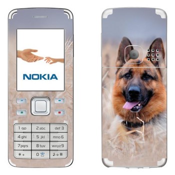   «  »   Nokia 6300