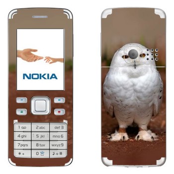   « »   Nokia 6300