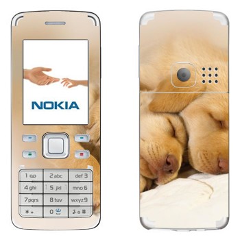   « »   Nokia 6300