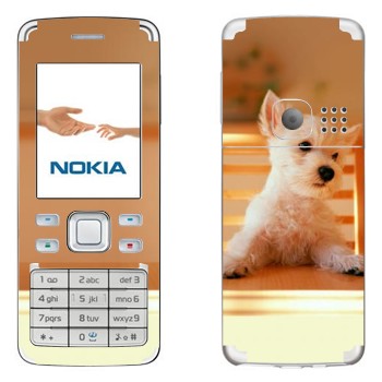   «  »   Nokia 6300