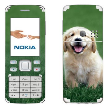   «  »   Nokia 6300