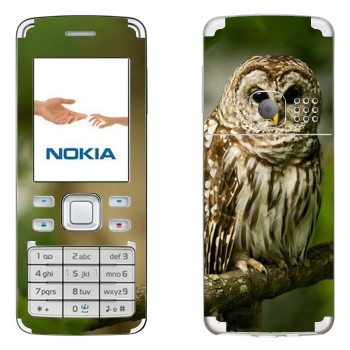   «  »   Nokia 6300