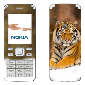   « »   Nokia 6300