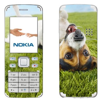   «   »   Nokia 6300