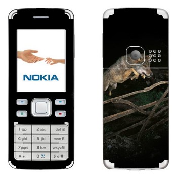   «  »   Nokia 6300