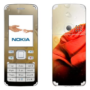   « »   Nokia 6300