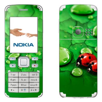   «   »   Nokia 6300