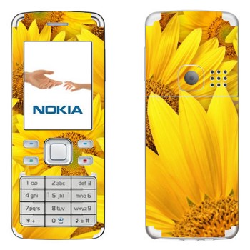   « »   Nokia 6300