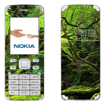   «  »   Nokia 6300