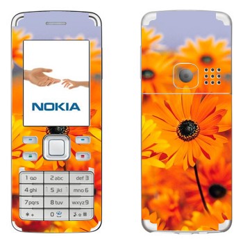   «  »   Nokia 6300