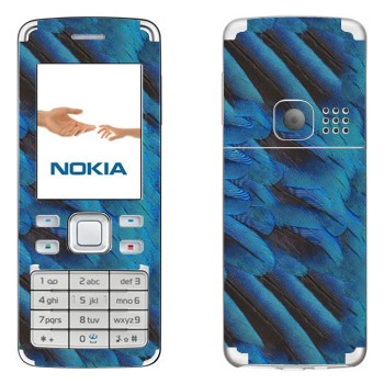   «  »   Nokia 6300