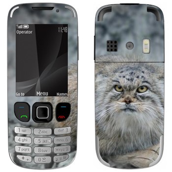   «»   Nokia 6303