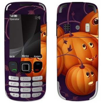   «  - »   Nokia 6303