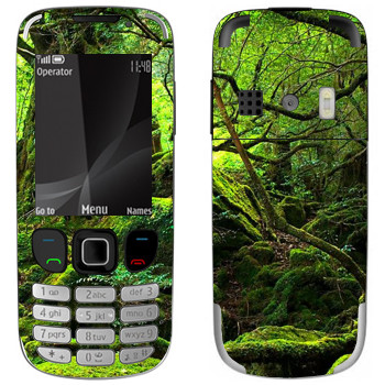   «  »   Nokia 6303