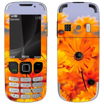   «  »   Nokia 6303