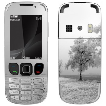 Nokia 6303